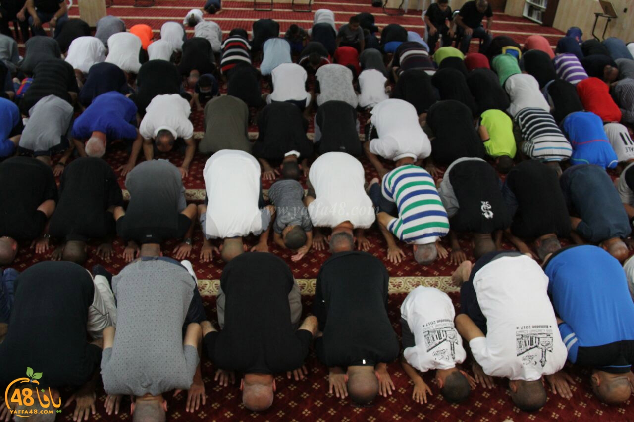 tarawe7 jamaki (5).jpg